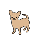 チワワ（犬）スタンプ（個別スタンプ：2）