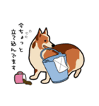 チワワ（犬）スタンプ（個別スタンプ：40）