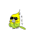 インコの心（個別スタンプ：12）