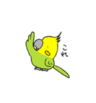 インコの心（個別スタンプ：17）