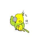 インコの心（個別スタンプ：31）