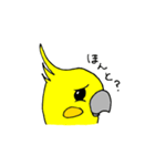 インコの心（個別スタンプ：36）