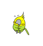 インコの心（個別スタンプ：40）
