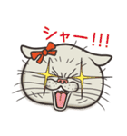 猫面相2 -ブサ猫スタンプ-（個別スタンプ：10）