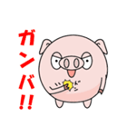就活中のブヒマル（個別スタンプ：2）