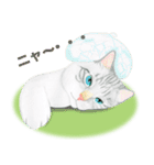 もぐらねこ（個別スタンプ：37）