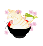 茶トラネコ丼（個別スタンプ：10）