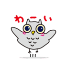 ゆるかわフクロウのスタンプ（個別スタンプ：6）