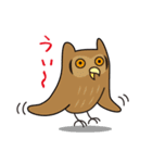 ゆるかわフクロウのスタンプ（個別スタンプ：15）