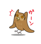 ゆるかわフクロウのスタンプ（個別スタンプ：16）