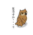 ゆるかわフクロウのスタンプ（個別スタンプ：23）