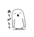ゆるかわフクロウのスタンプ（個別スタンプ：25）