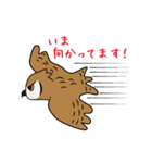 ゆるかわフクロウのスタンプ（個別スタンプ：26）