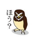 ゆるかわフクロウのスタンプ（個別スタンプ：30）