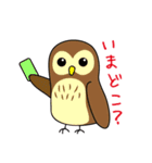 ゆるかわフクロウのスタンプ（個別スタンプ：32）