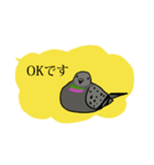 鳩スタンプ2（個別スタンプ：8）