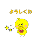 ひよこで会話（個別スタンプ：13）