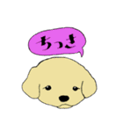 ズバリどうぶつ（個別スタンプ：24）