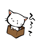 こねこの独り言【きほん】シリーズ第3弾（個別スタンプ：5）