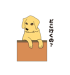ベーちゃん（個別スタンプ：14）
