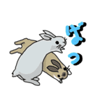 楽しいウサギです。（個別スタンプ：4）