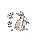 楽しいウサギです。（個別スタンプ：16）