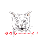 猫博士の見解（個別スタンプ：11）