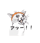 猫博士の見解（個別スタンプ：27）