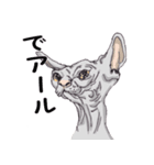 猫博士の見解（個別スタンプ：29）