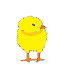 くちびるブルブルひよこ、時々にわとり（個別スタンプ：39）