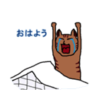 飼猫とど丸の愛より偉大なギフトがあろうか（個別スタンプ：19）