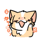 クッキーだわん（個別スタンプ：3）