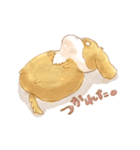 ぽちゃわんこ。（個別スタンプ：35）