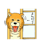 忠犬わんこスタンプ（個別スタンプ：26）