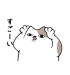 ちゃんと話を聞く猫（個別スタンプ：10）