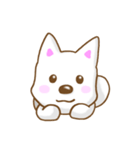 白犬さんスタンプ（個別スタンプ：2）