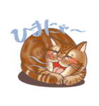 ニャンにゃライフ (日本語版)（個別スタンプ：34）