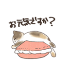 まかろんにゃんこ（個別スタンプ：10）