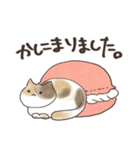 まかろんにゃんこ（個別スタンプ：21）