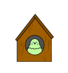 たれ目インコ（個別スタンプ：11）