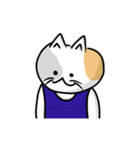 可愛い三毛猫さんワールド！（個別スタンプ：28）