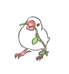 白文鳥さん（個別スタンプ：28）