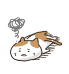 うざい顔の猫のスタンプ（個別スタンプ：15）