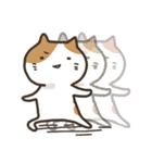 うざい顔の猫のスタンプ（個別スタンプ：24）