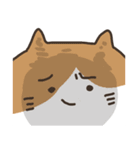 うざい顔の猫のスタンプ（個別スタンプ：34）