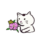 猫さん（個別スタンプ：7）