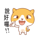 Funny Kitty（個別スタンプ：29）