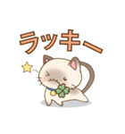 シャムの子猫スタンプ(メッセージ付き)（個別スタンプ：11）