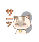 シャムの子猫スタンプ(メッセージ付き)（個別スタンプ：20）
