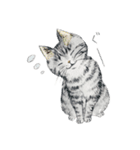 こじ＆もものねこのてかそうか？（個別スタンプ：32）
